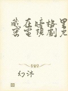 藏在暗格里的秘密电视剧免费观看