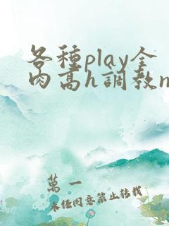 各种play全肉高h调教np