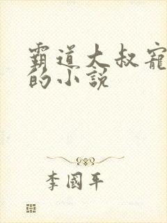 霸道大叔宠甜妻的小说