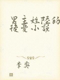 男主姓陆的先婚后爱小说