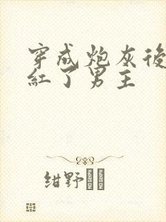 穿成炮灰后我捧红了男主