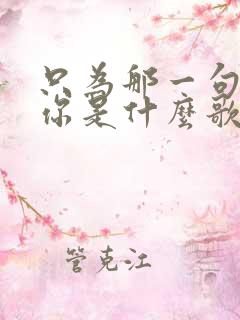 只为那一句我爱你是什么歌的歌词