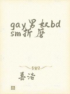gay男奴bdsm折磨