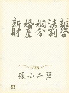 新婚姻法离婚争财产分割咨询律师