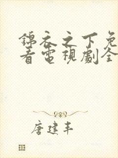 锦衣之下免费观看电视剧全集在线播放