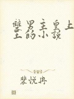 双男主皇上摄政王的小说