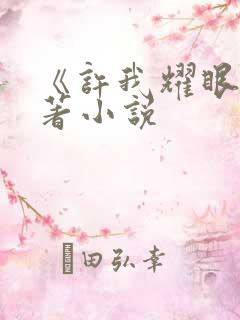 《许我耀眼》原著小说