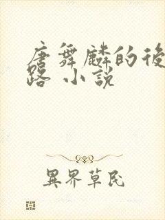 唐舞麟的后宫之路 小说