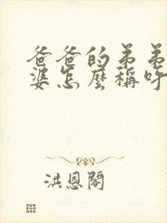 爸爸的弟弟的老婆怎么称呼