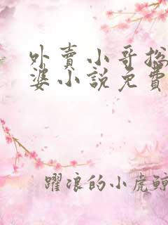 外卖小哥总裁老婆小说免费阅读