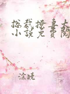 总裁撩妻太给力小说免费阅读