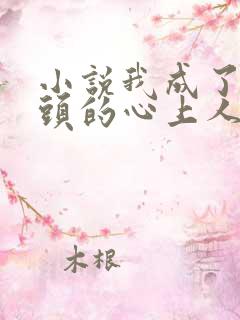 小说我成了死对头的心上人