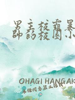 男主校霸暴戾痞帅的校园小甜文