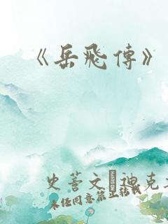 《岳飞传》评书