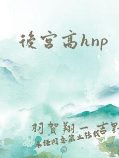 后宫高hnp