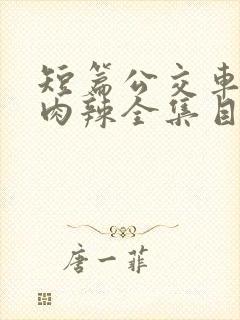 短篇公交车高h肉辣全集目录