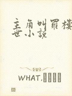 主角叫罗楼的末世小说