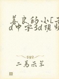 善良的小[子hd中字3d视频