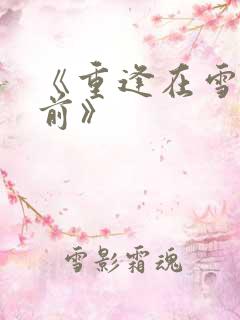 《重逢在雪落之前》