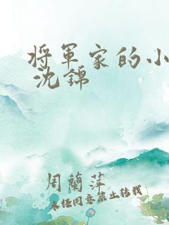 将军家的小娘子 沈锦