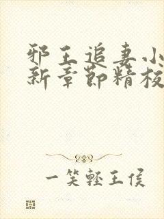 邪王追妻小说最新章节精校版