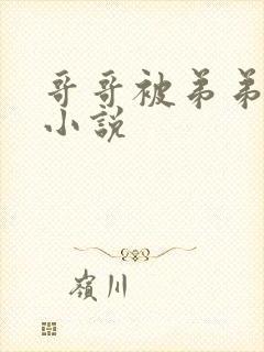 哥哥被弟弟调教小说