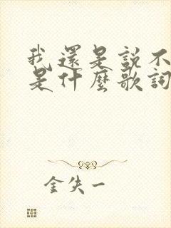 我还是说不出来是什么歌词