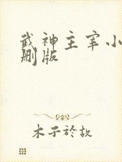 武神主宰小说未删版
