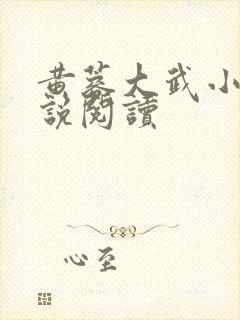 黄蓉大武小武小说阅读