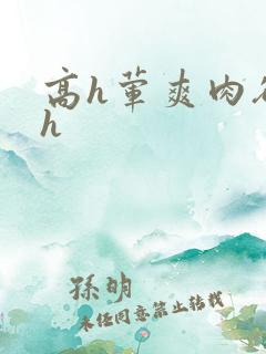 高h荤爽肉欲文h