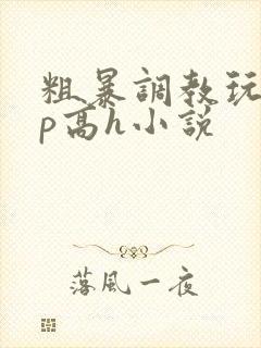 粗暴调教玩弄np高h小说