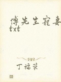 傅先生宠妻无度txt