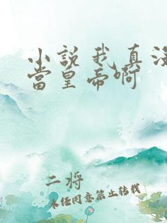 小说 我真没想当皇帝啊