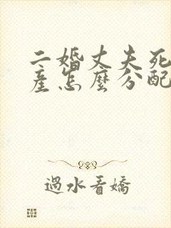 二婚丈夫死后财产怎么分配