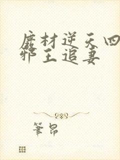 废材逆天四小姐邪王追妻