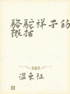 骆驼祥子的每章概括