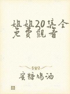 姐姐20集全集免费观看