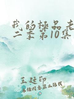 我的极品老婆第二季第10集