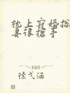 枕上宠婚总裁前妻很抢手