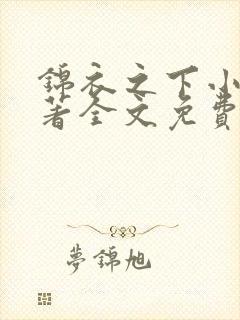 锦衣之下小说原著全文免费阅读