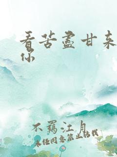 看苦尽甘来遇见你