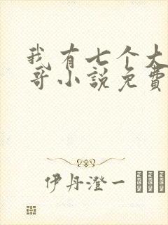 我有七个大佬哥哥小说免费看