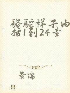 骆驼祥子内容概括1到24章