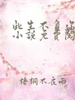 此生不负你情深小说免费阅读