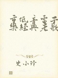 重低音电子琴音乐经典老歌500首