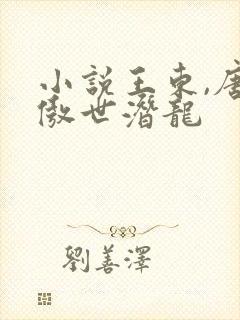 小说王东,唐潇傲世潜龙
