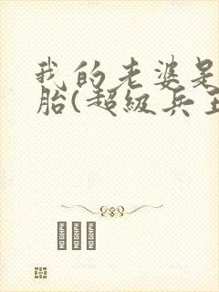 我的老婆是双胞胎(超级兵王在都市)