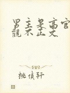 男主是高官的三观不正文