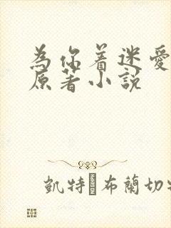 为你着迷爱龙奈原著小说