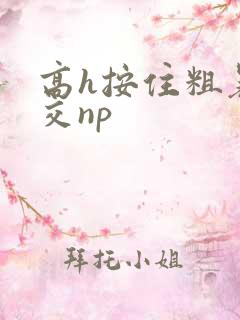 高h按住粗暴宫交np